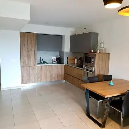 Appartement Pessicart - T2 Avec Terrasse - Avec Piscine Nice
